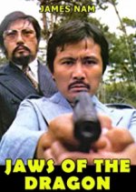 Jaws of the Dragon Korean Movie photo