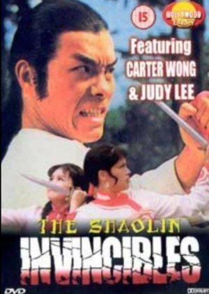 Shaolin Invincibles (1981) poster