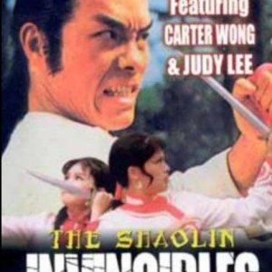 Shaolin Invincibles (1981)