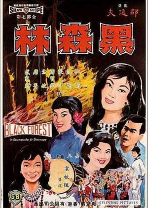 Black Forest (1964) poster