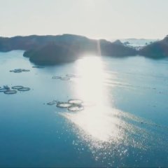 Peperoncino Japanese Drama photo