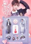 Designated Love chinese drama review
