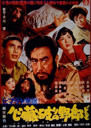Himalayan Wanderer (1961) poster