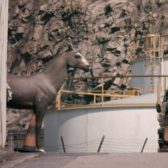 Hong Kong Trilogy: Preschooled Preoccupied Preposterous Hong Kong Movie(2015) photo