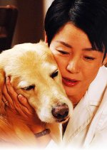 Dillon ~ Unmei no Inu Japanese Drama photo