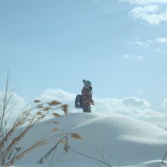 The Night I Swam Japanese Movie photo