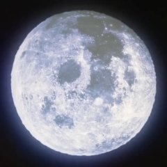 Tokyo Girl Japanese Movie photo