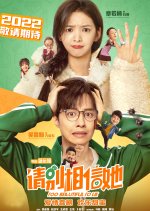 Too Beautiful to Lie Chinese Movie(2023) photo