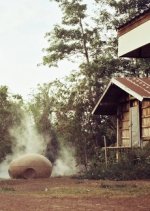 A Letter to Uncle Boonmee Thai Movie photo