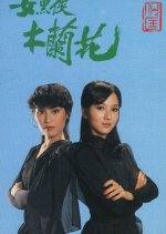 The Legend of Wonder Lady Hong Kong Drama photo