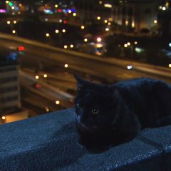 Barrack O'Karma Hong Kong Drama photo