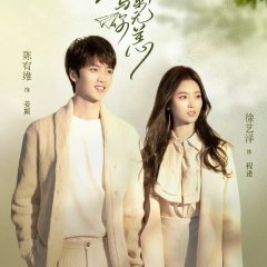 Timeless Love Chinese Drama photo