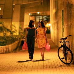 Anita Hong Kong Movie photo