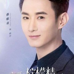 Plot Love Chinese Drama photo