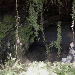 Map Without Island Korean Movie photo