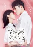 Your Eyes, My World chinese drama review