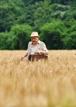 A Summer Trip Chinese Movie photo