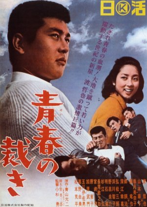 Seishun no Sabaki (1965) poster