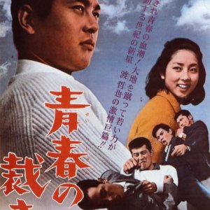 Seishun no Sabaki (1965)