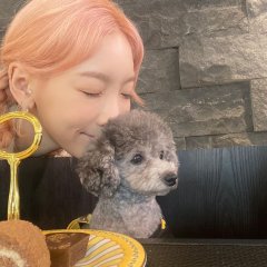 Petkage Korean TV Program photo