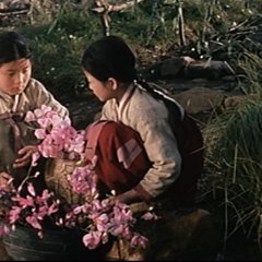 The Flower Girl Korean Movie photo
