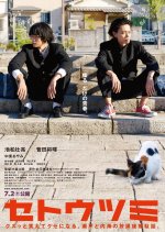 Setoutsumi Japanese Movie(2016) photo