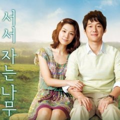 Standing Sleeping Tree Korean Movie photo