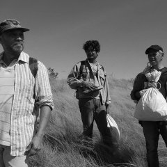 Genus, Pan Philippines Movie photo