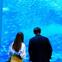 Love Deeply! Japanese Drama photo