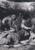 The Chaser Korean Movie(1964) photo