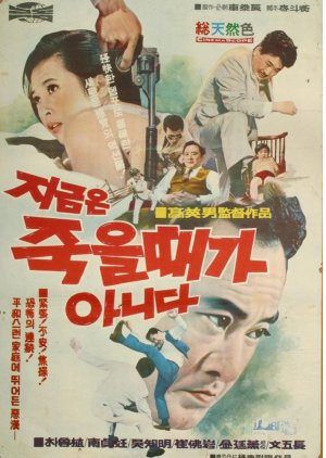 Now Is Not the Time to Die (1969) poster