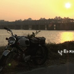 The Camel Korean Movie photo