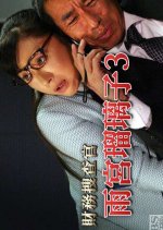 Zaimu Sosakan Amamiya Ruriko 3 Japanese Drama photo