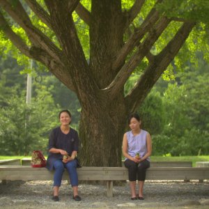A Small, Good Thing (2016)