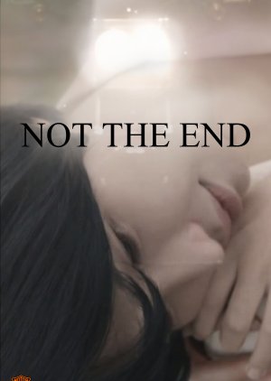 Not The End... (2014) poster