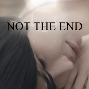 Not The End... (2014)