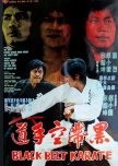 Black Belt Karate hong kong drama review