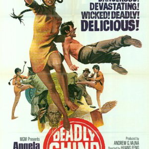 Deadly China Doll (1973)