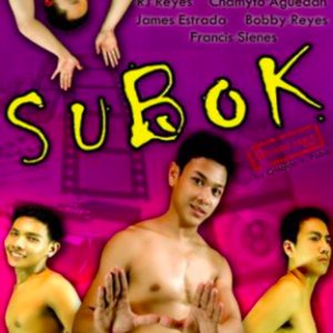 Subok (2011)