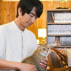 Pops Loves Kawaii Stuff Japanese Drama photo