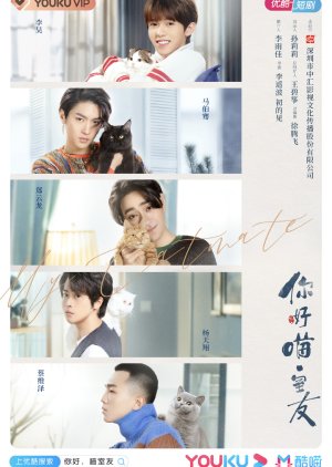 My Catmate (2020) poster