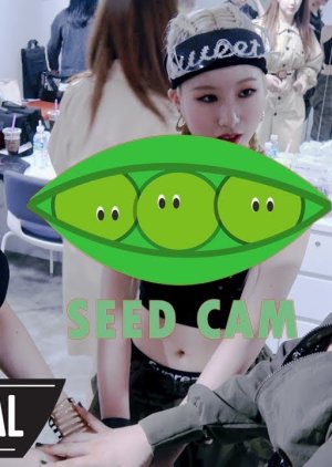 3YE SEED CAM (2019) poster
