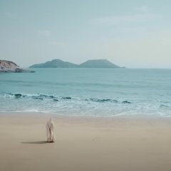 Qin Dynasty Epic (2020) photo