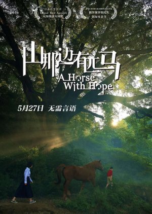 A Horse with Hope (2016) poster