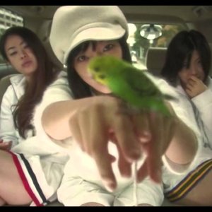 Kamisama no Boto  (2013)