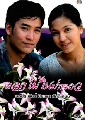 Dok Mai Nai Pah Nao (1996) poster