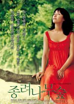 The Windmill Palm Grove Korean Movie photo