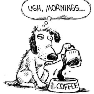 Kamisama no Boto  (2013)