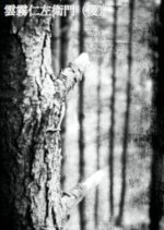 Kumokiri Nizaemon (Ko) Japanese Movie photo