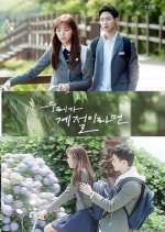 Drama Special Season 8: If We Were A Season